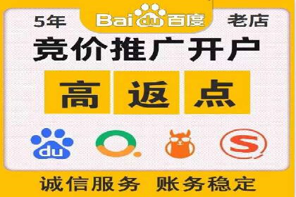 行业领先企业的SEM代理案例剖析
